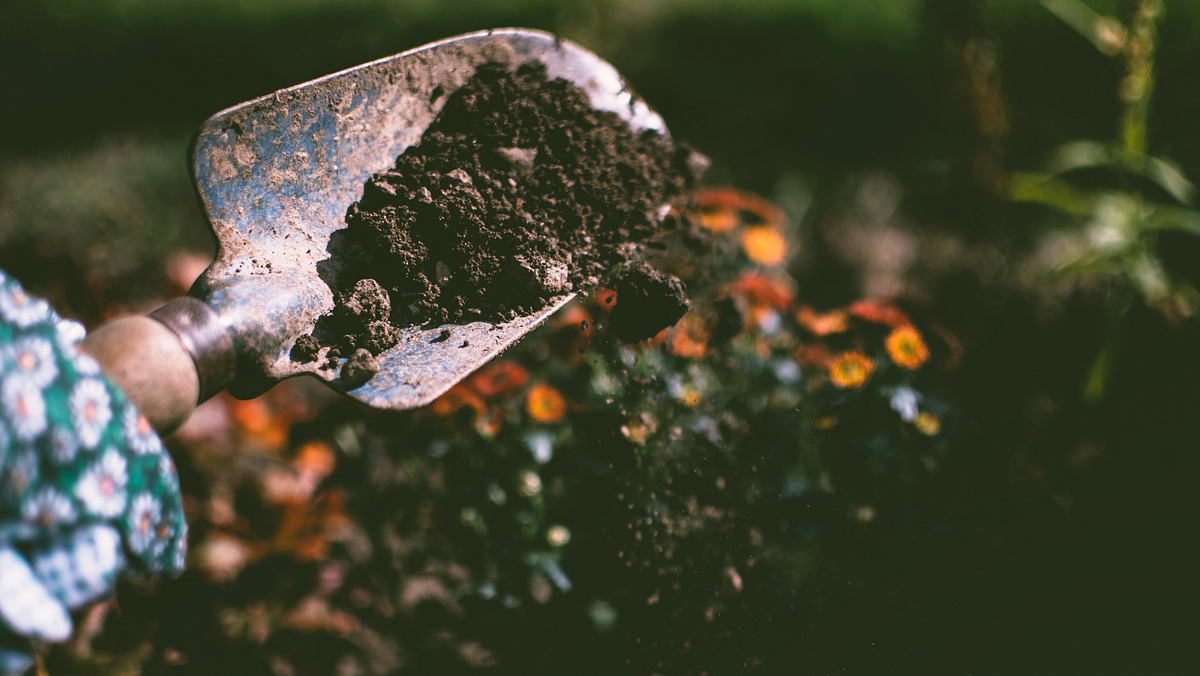 What Is Loamy Soil? And Why Do My Plants Need It? by Katherine