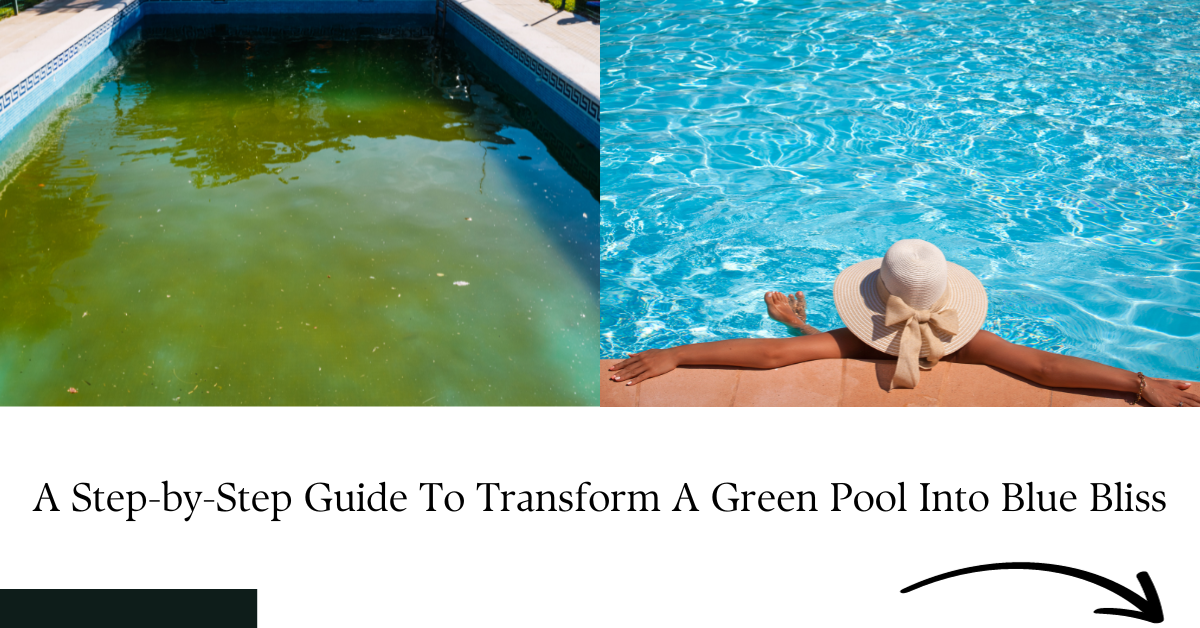 A StepbyStep Guide To Transform A Green Pool Into Blue Bliss by