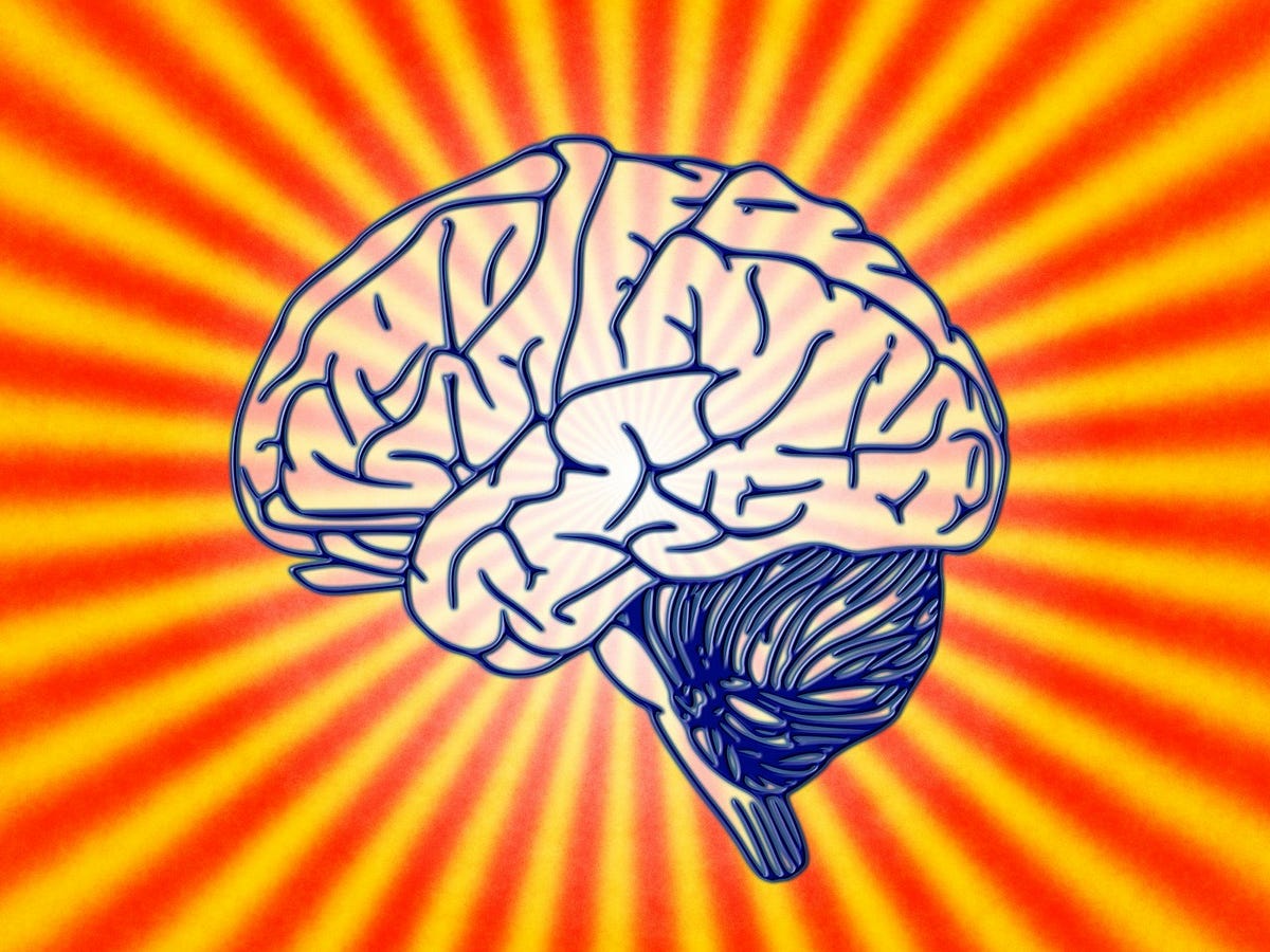 You Kill Brain Cells Rapidly by Not Doing These 5 Super Easy Daily