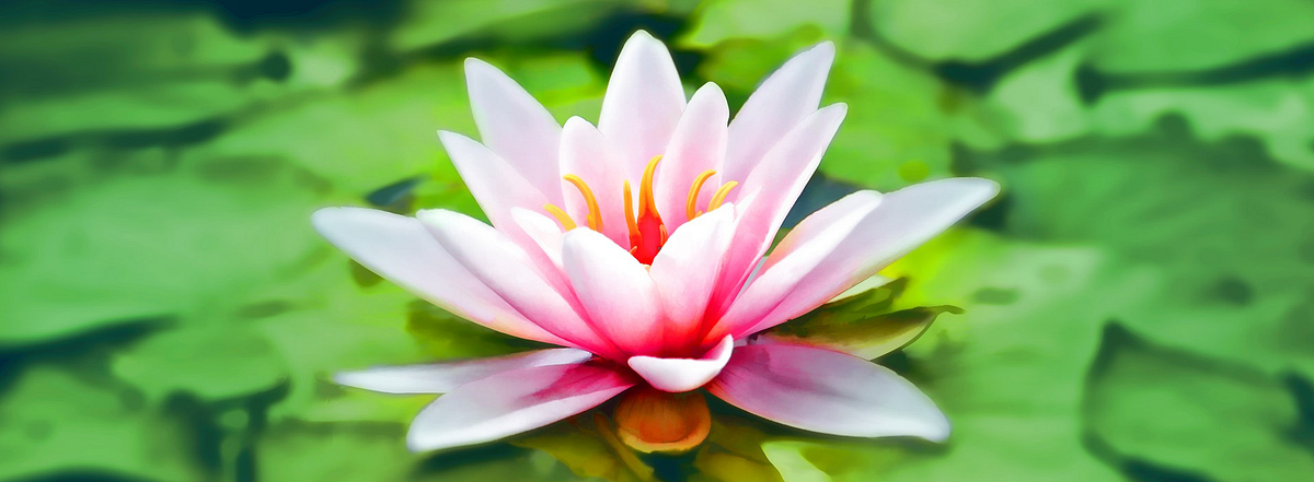 Fleur de lotus: une technique créative simple et efficace !
