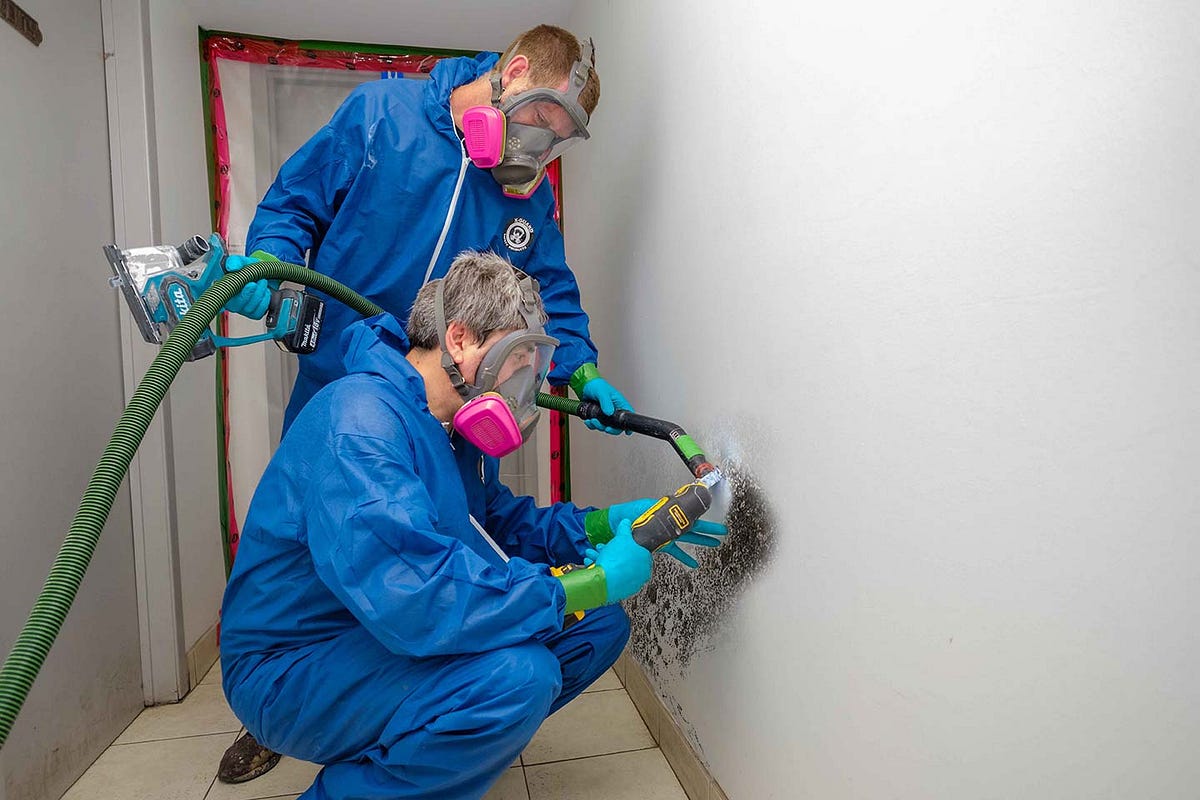 How to Remove Black Mold in the Bathroom? Prime Home Services Medium