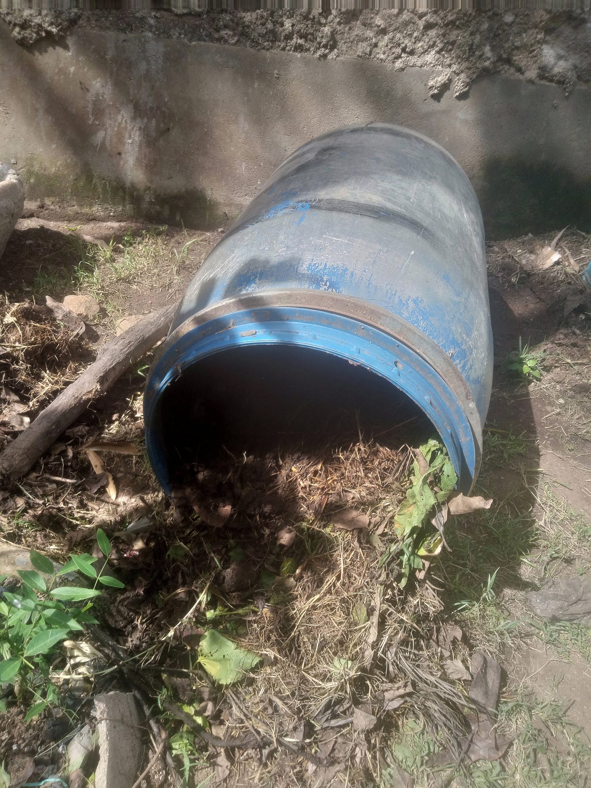 What Does it Mean When We Die We Dirt? by Freddie Mboi