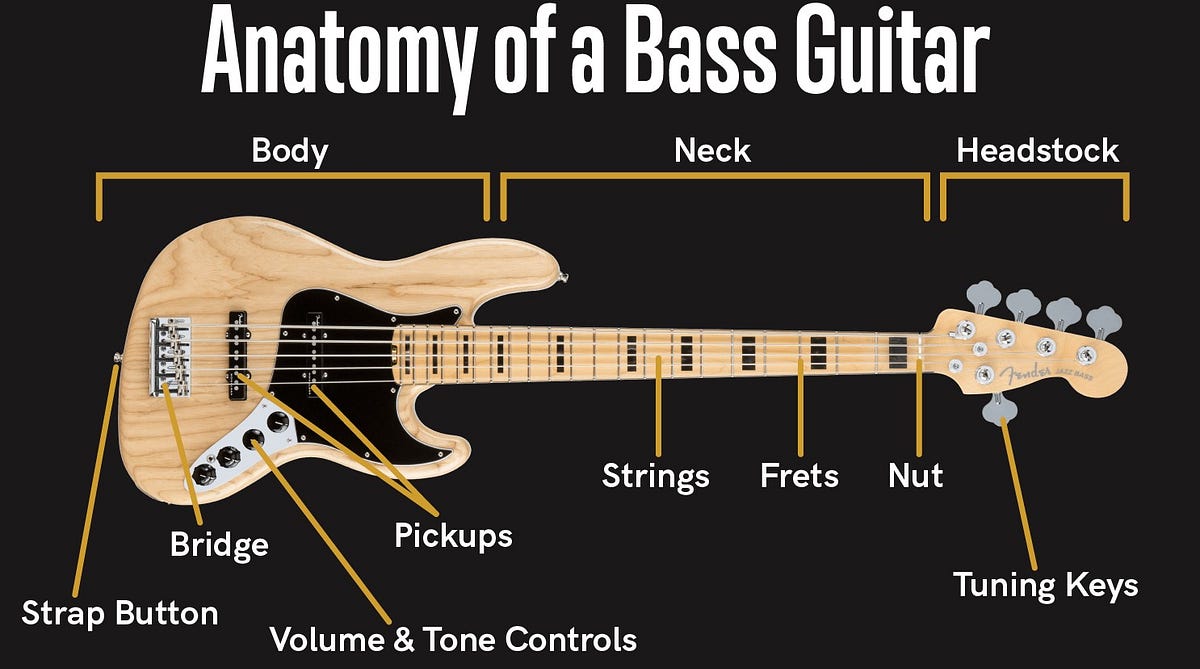 Top guide for how to choose a bass guitar 2023 by Rizwan Medium
