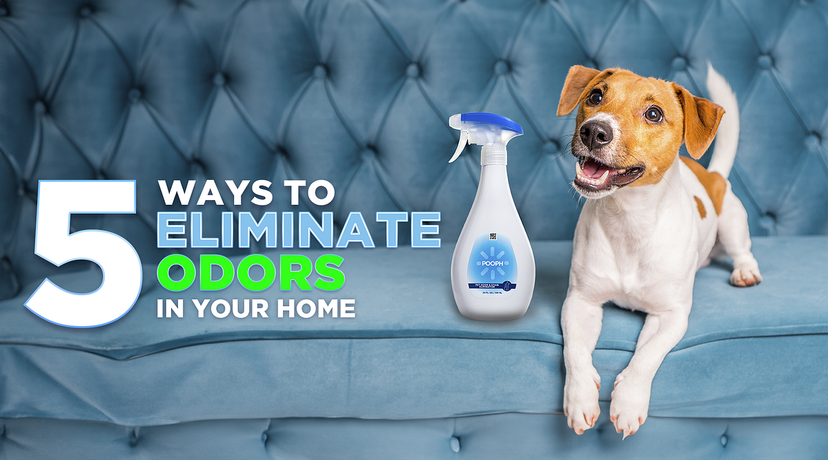 5 Ways to Eliminate Pet Odor in Your Home by POOPH Nov, 2023 Medium