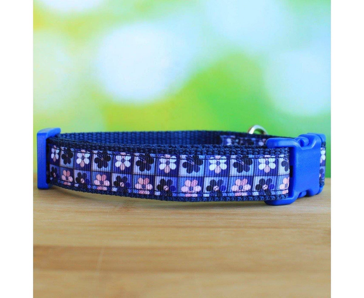 Get The Best Adjustable Dog Collar for Smaller Breeds and Puppies