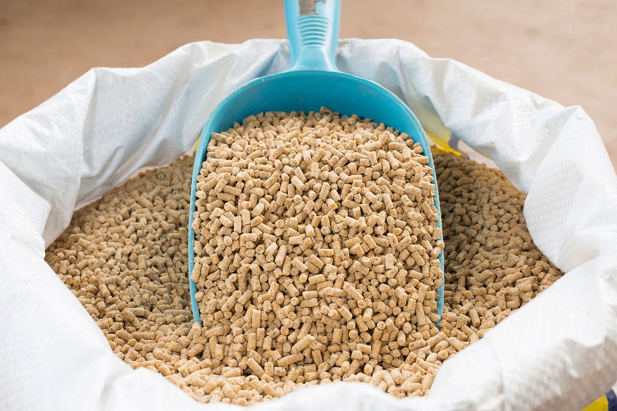 Demand for Highquality Protein Drives the Animal Feed Market by