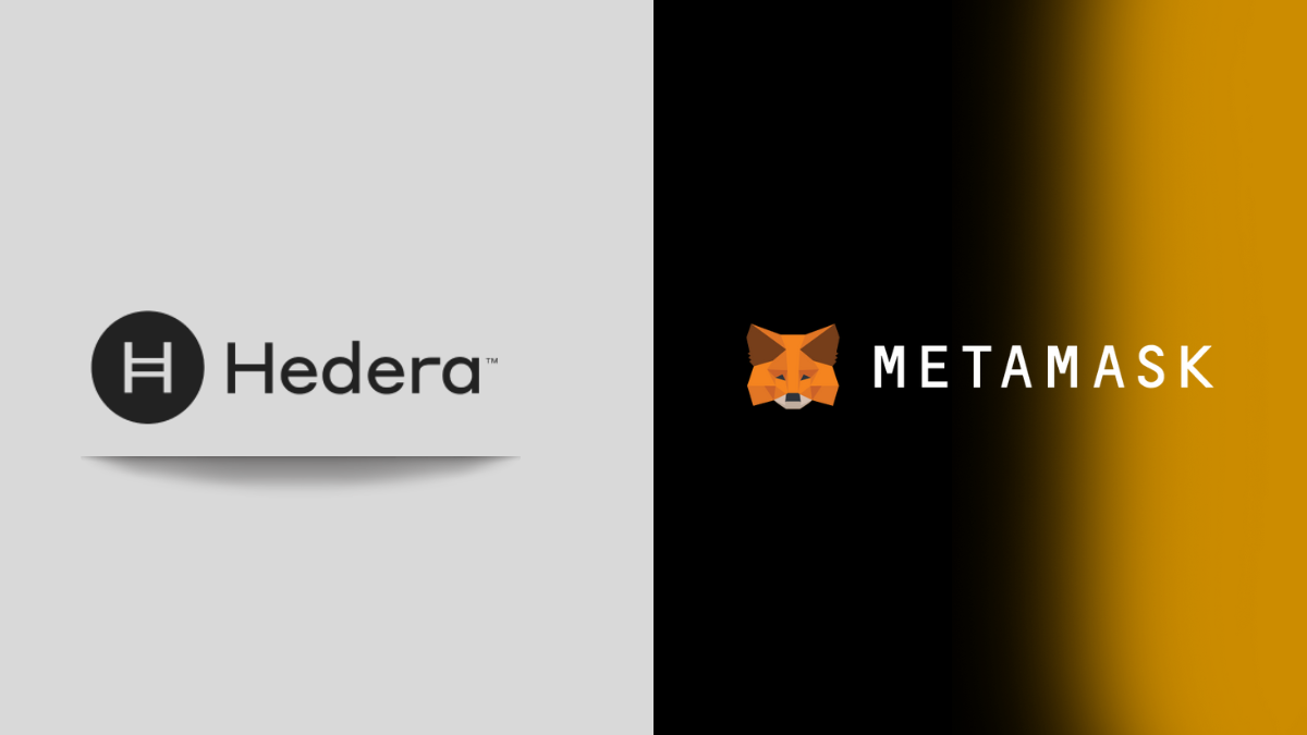 Enhancing Hedera Wallet Snap with Improved UI | by Tuum Tech | Medium
