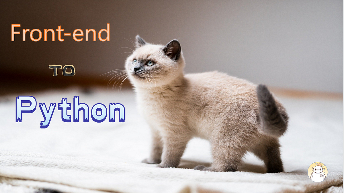 Why Do I Suggest Python as a Second Language for the Front-End? | by ...