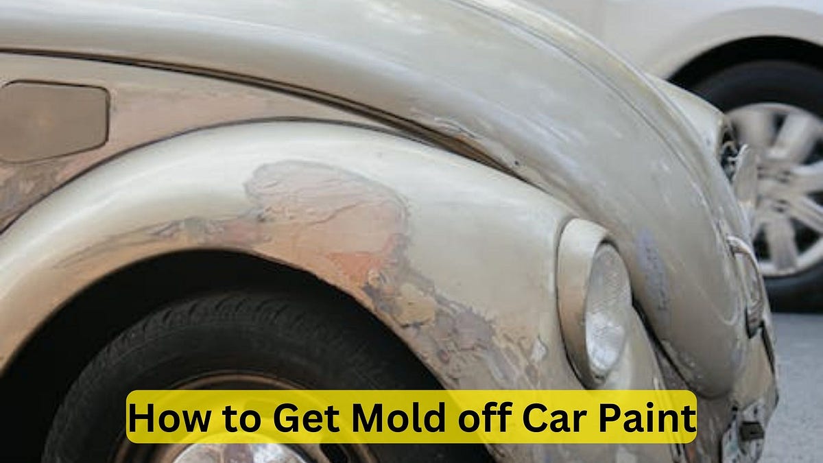How to Get Paint off Car Window Easy and Effective Methods by Car Individuals Nov, 2023
