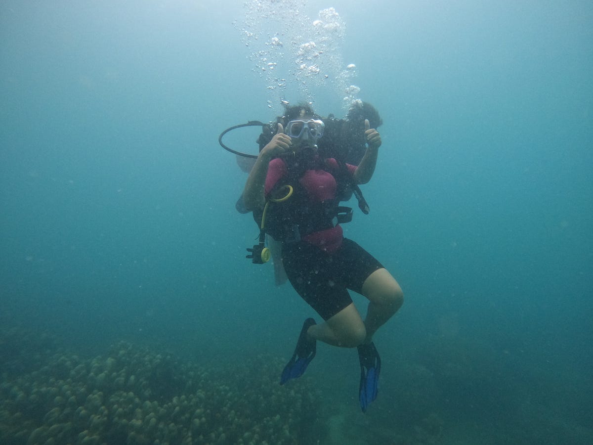 Diving in Scuba diving in Andaman Best time by The Dive Master Medium