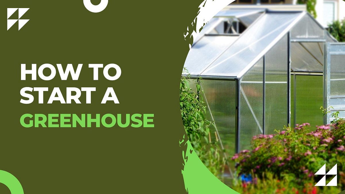How to Build a Greenhouse. Introduction by Gardeningever May, 2023