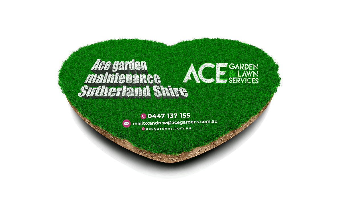 Local Lawn Care Services Reasons To Opt For This Service By Ace local-lawn-care-services-reasons-to-opt-for-this-service-by-ace
