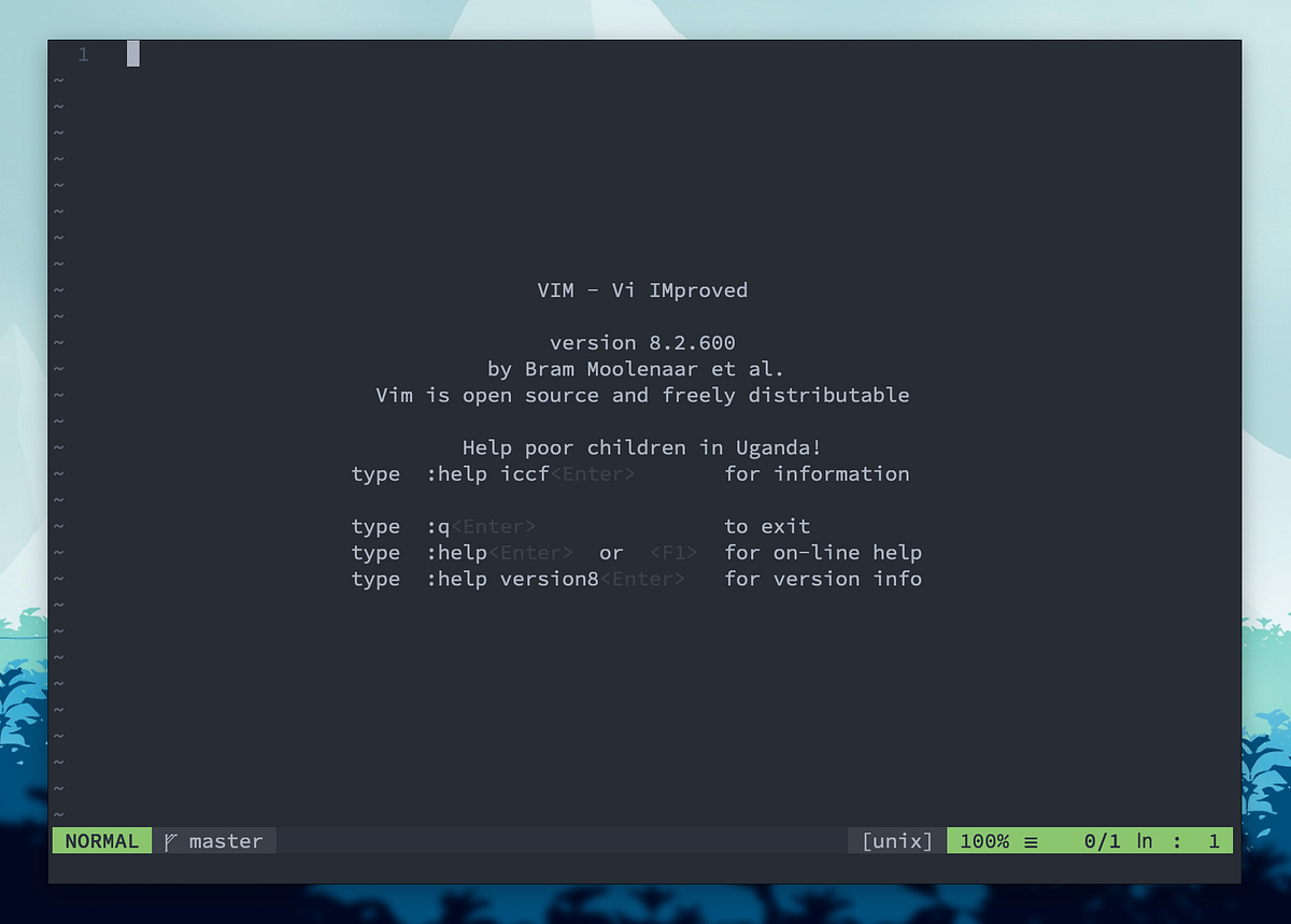 How I use Vim for Competitive Programming | by Akash Rao | Medium