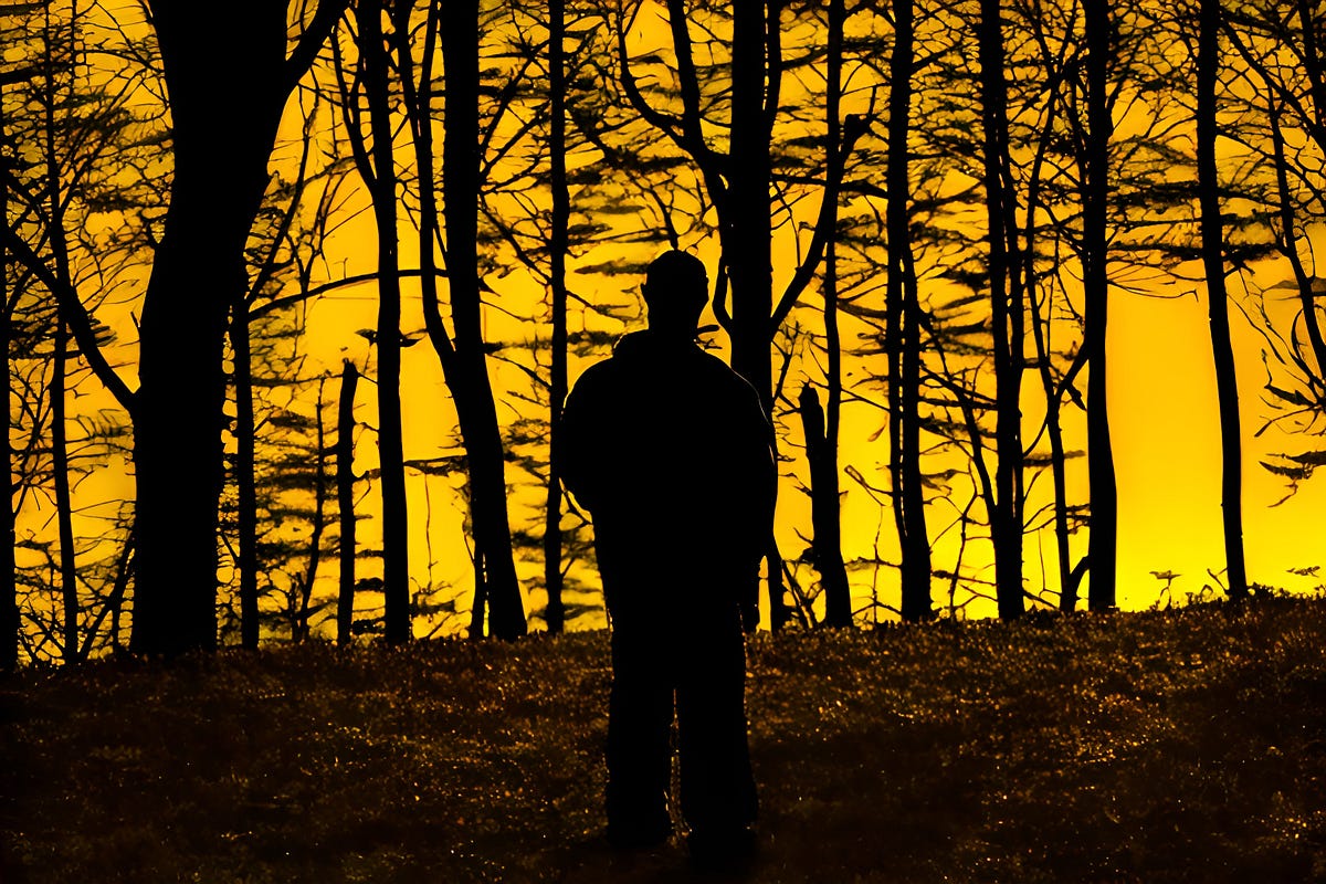 Chapter 5 The Case Goes Cold. The Green Bay Northwoods Killings by Troy Larson Medium