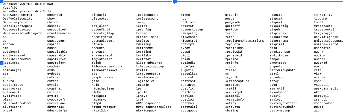 Mac OS directory structure. A directory on a Mac (or any other… | by ...