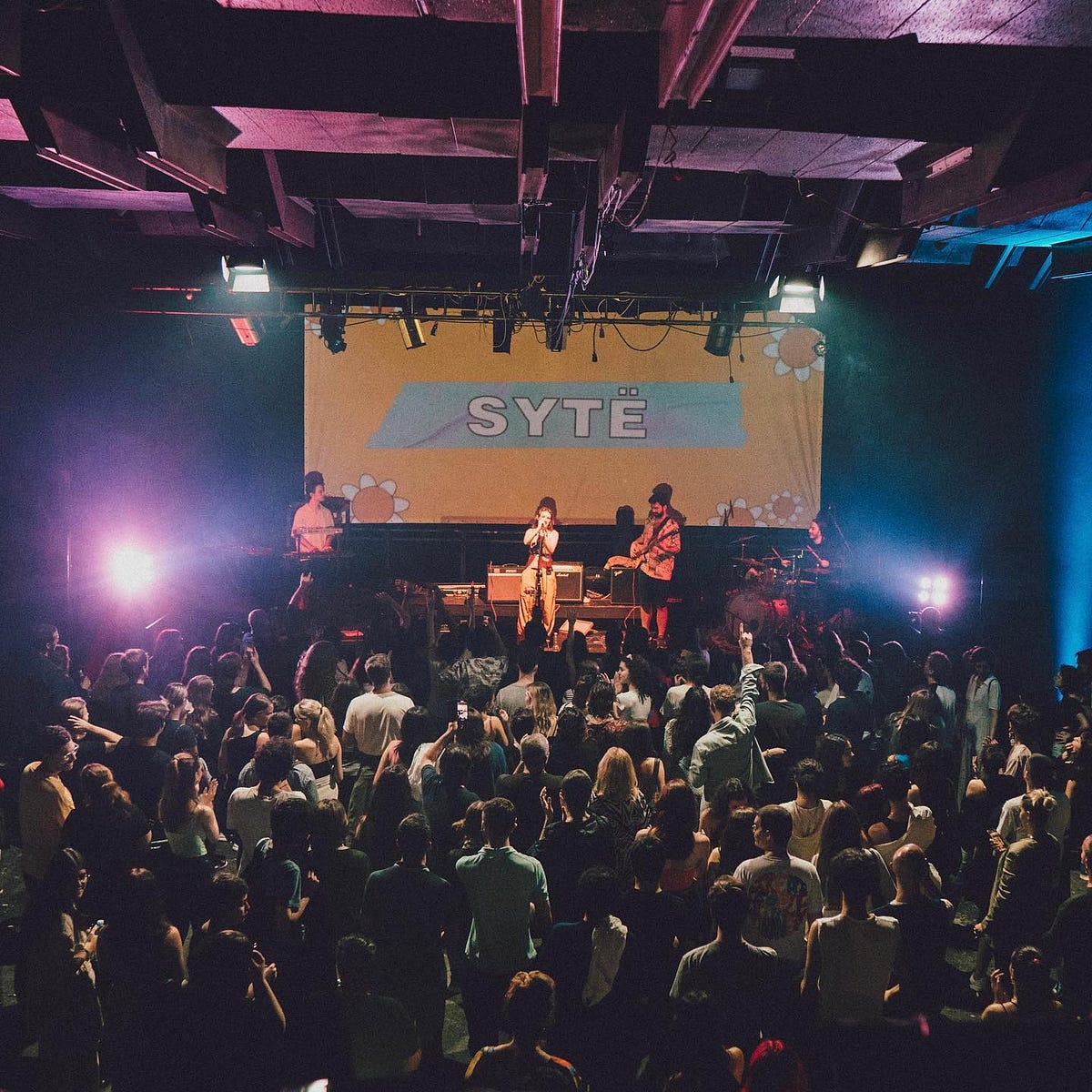 Diving Deep into SYTË The Mesmerizing Melodies from NYC and Echoes(05)