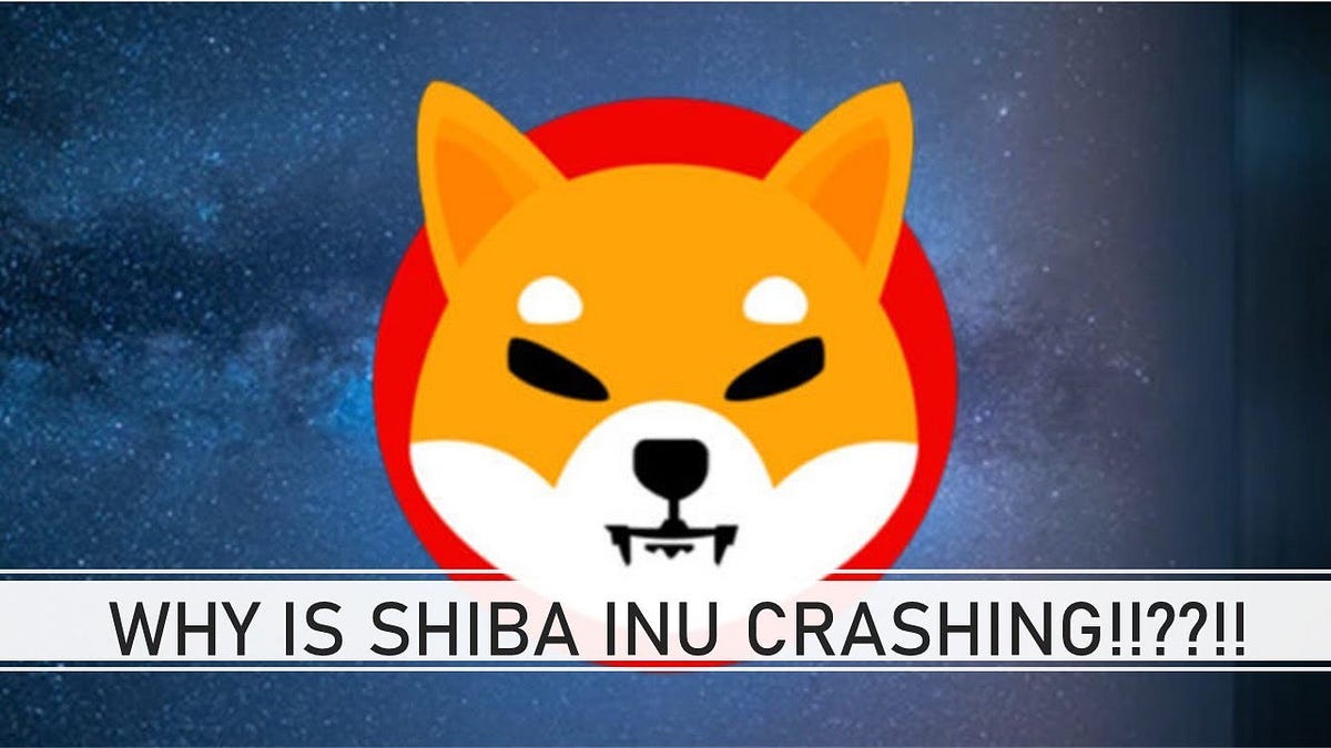 Shiba Inu Rising from the Grave or Nearing Extinction? The Shocking
