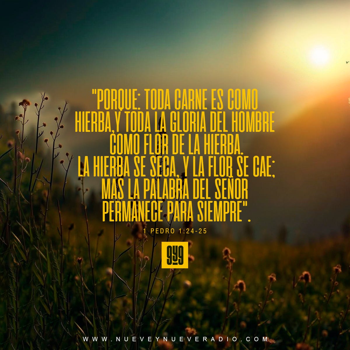 Nada dura para siempre… ¡Nada!