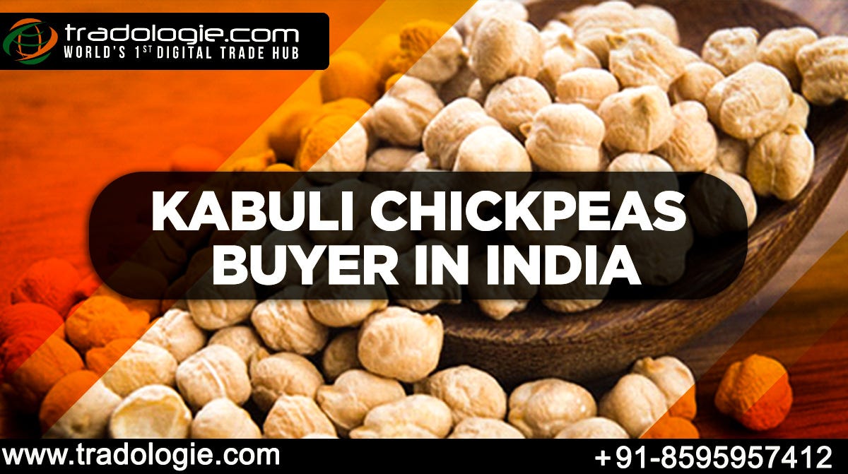 Kabuli Chickpeas Buyer In India. Kabuli Chickpeas, also known as