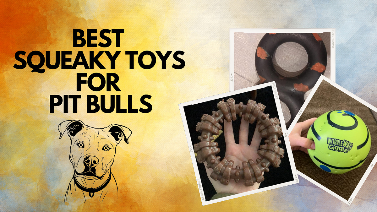 Best Indestructible Dog Toys for Pit Bulls Pros, Cons, How To, FAQs