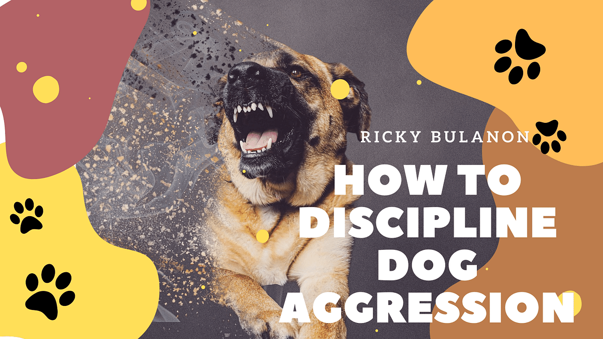 How to Discipline Dog Aggression The Best Ways to Punish a Puppy for