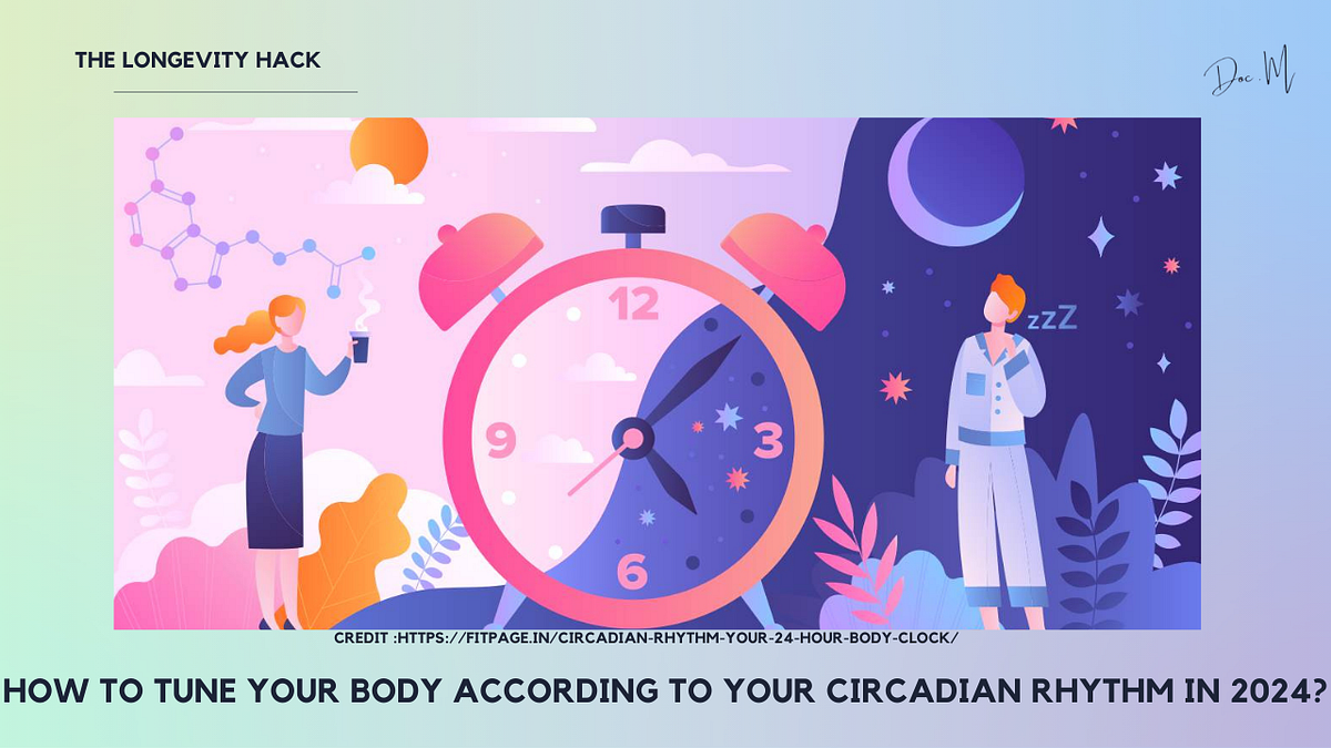 How to tune your body according to your circadian rhythm in 2024 ? by
