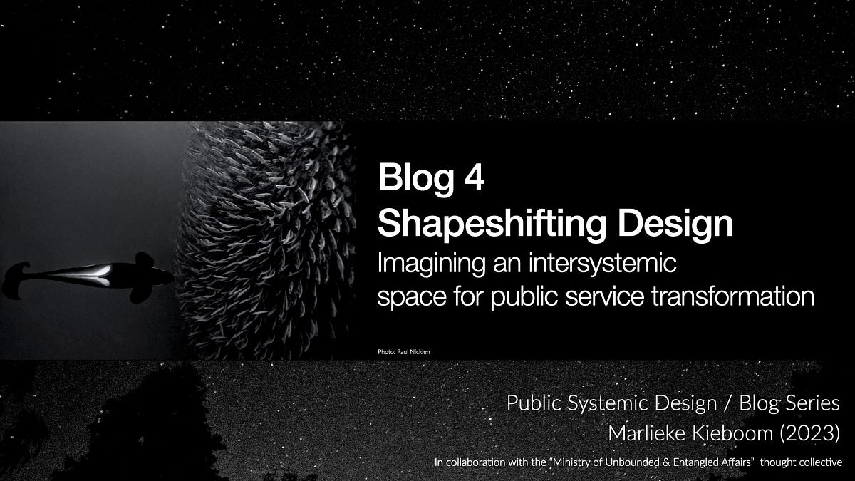 Blog 4 — Shapeshifting Design: Imagining an intersystemic space for ...