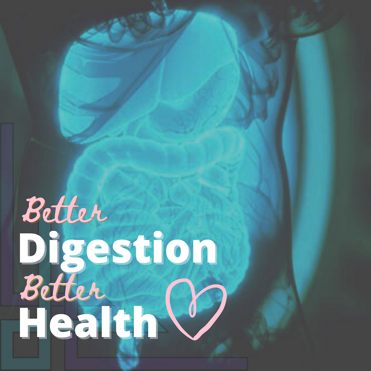 Digestion Is Important for Your Health by Abrar Niloy Medium