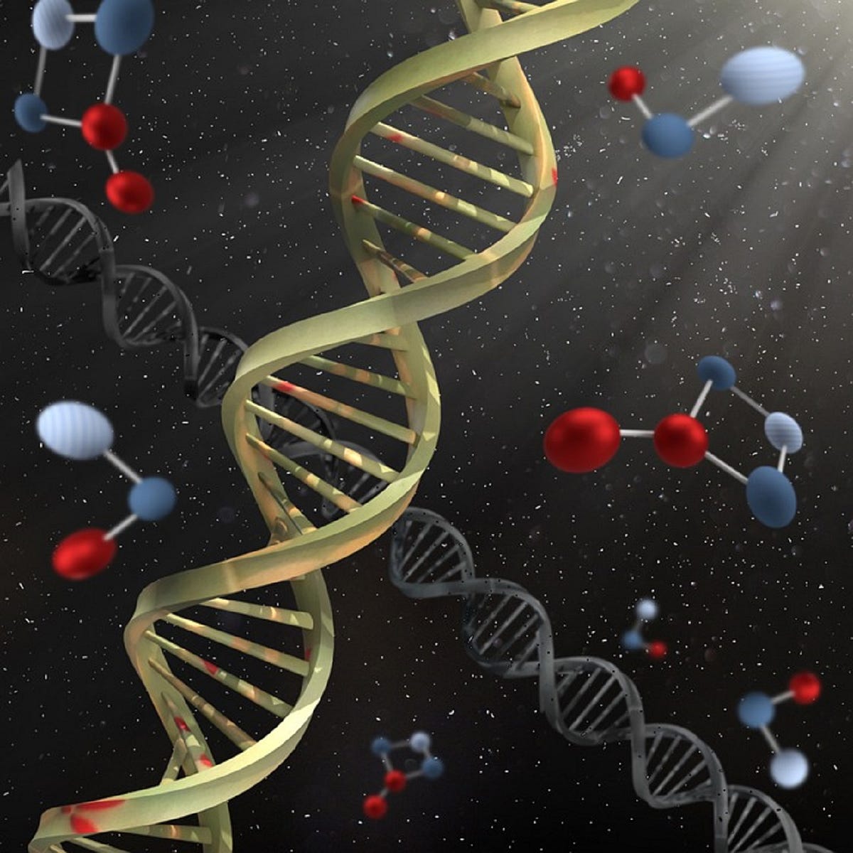 Dna discovery of dna by hafizsamiullah medium
