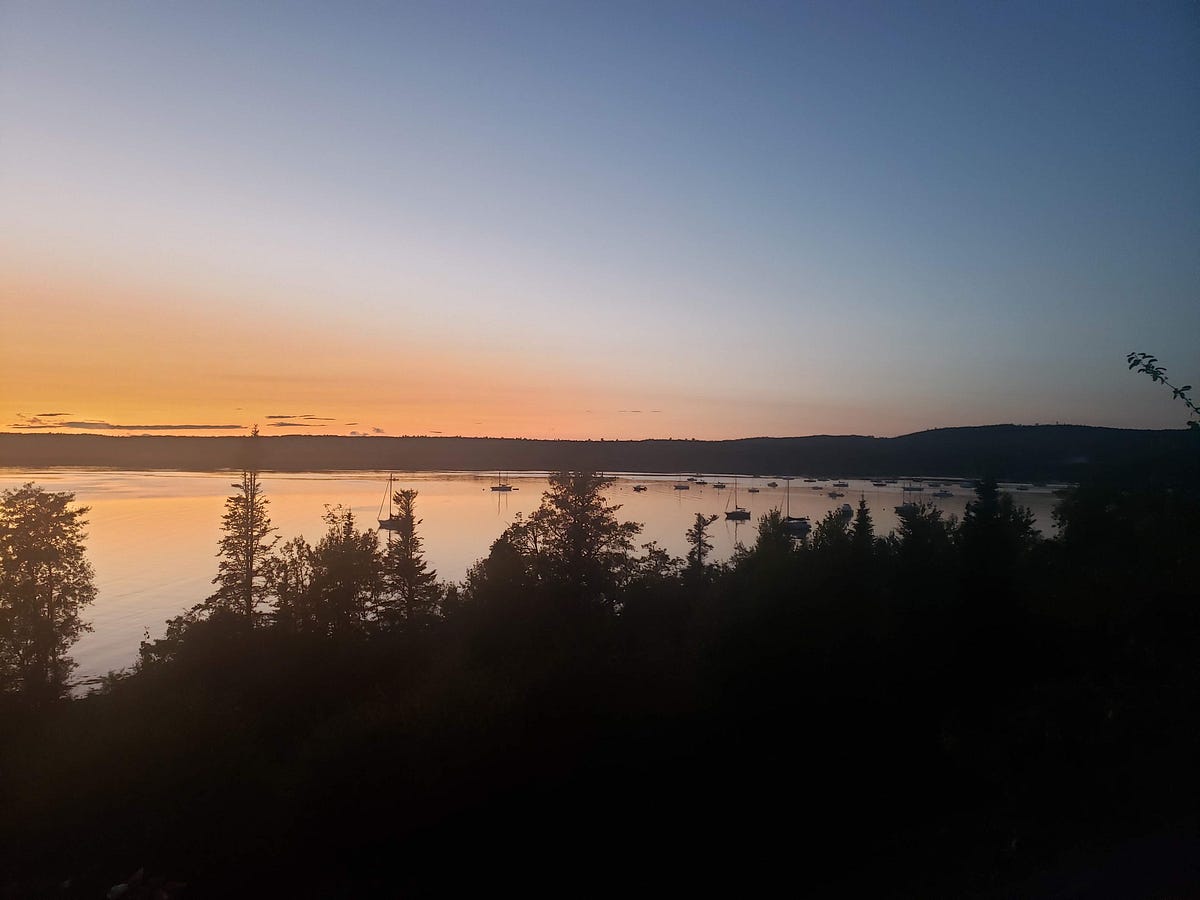 Losing My Phone Brought Me Peace
