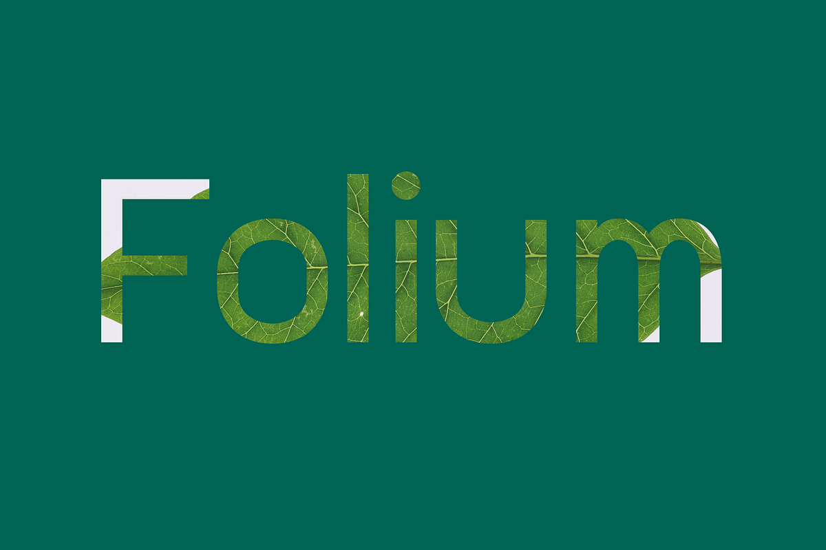 ทำแผนที่ง่ายๆด้วย Folium — Flask. Make beautiful, interactive maps with ...