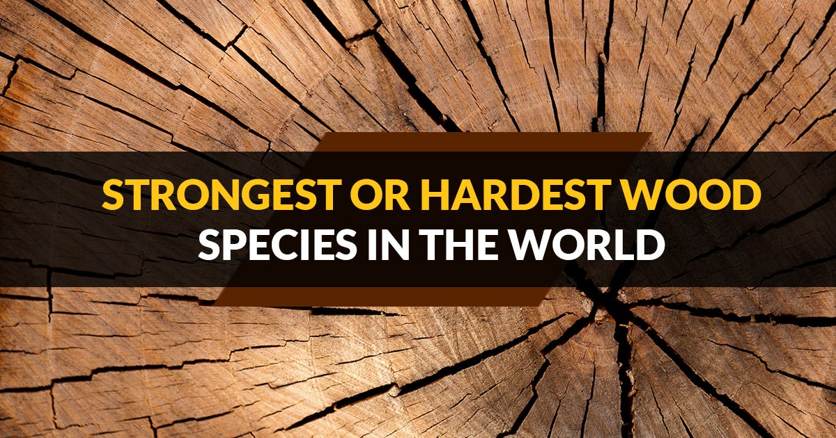 Strongest or Hardest Wood Species in the World by Elba L Shaw Medium