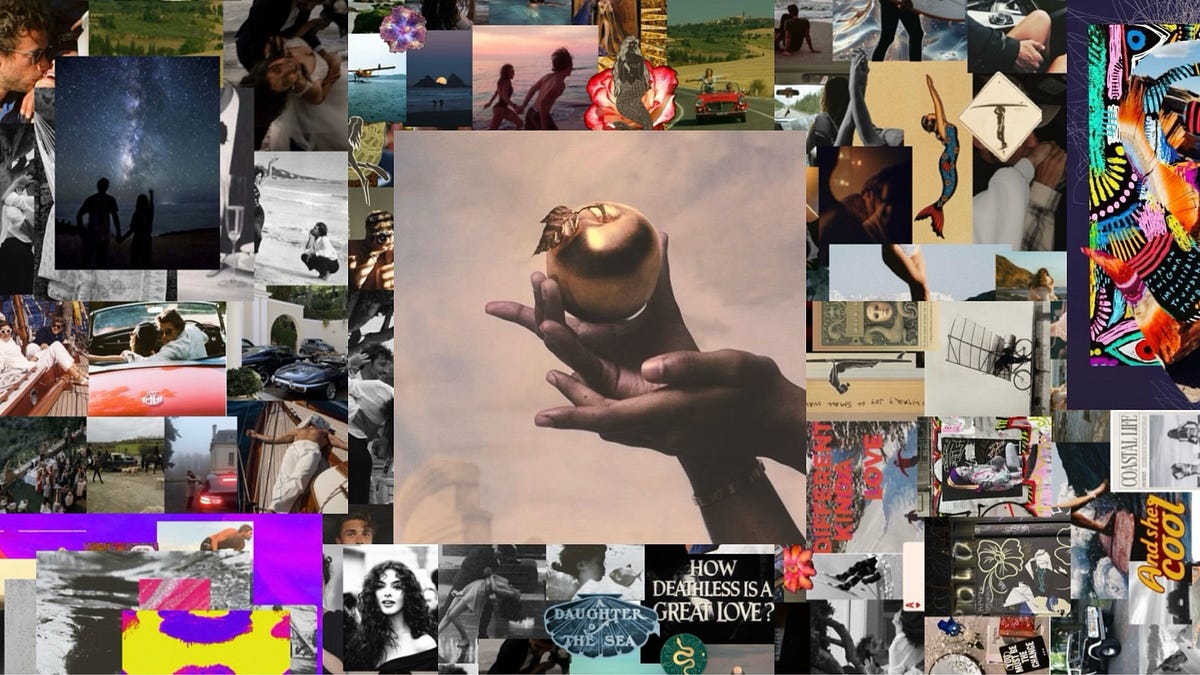 I Left My Soul In The Pacific Coast: Everything You Need To Know In 2026