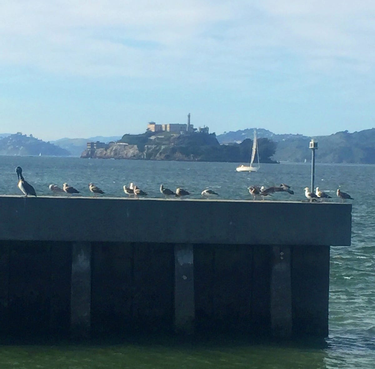 Image of: Untrue Urban Legends of San Francisco