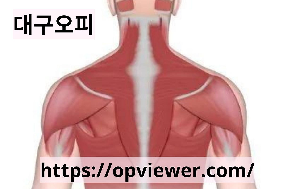 What Are the Best Massage Points on Your Back? by Whiskeypeak Medium