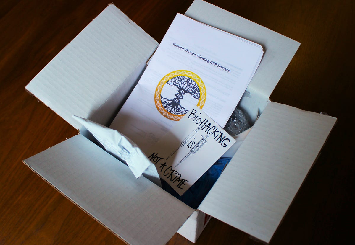 How to Engineer E. Coli with Tap Water, a Microwave, and