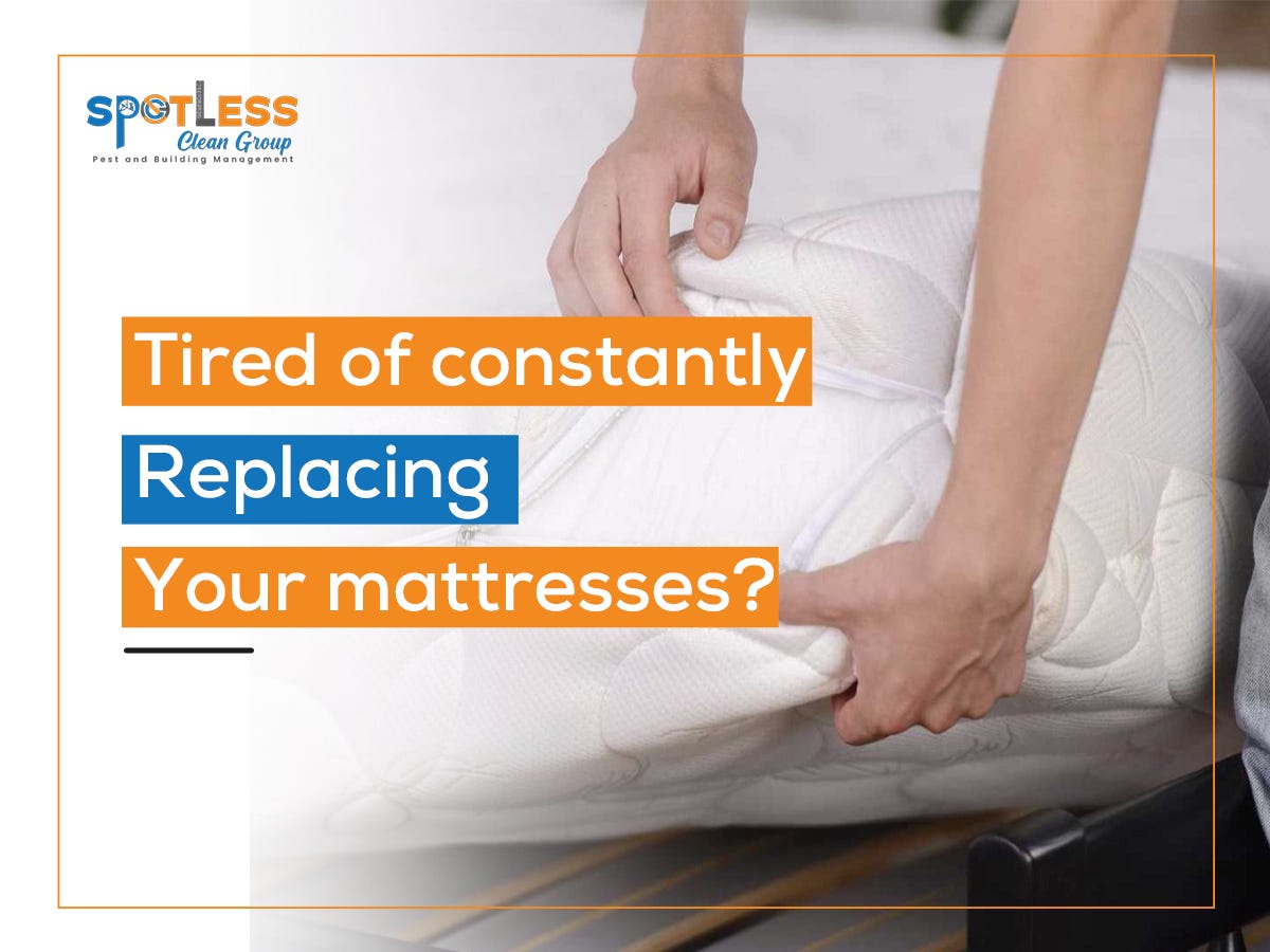 Tired of constantly replacing your mattresses? by Spotless Clean