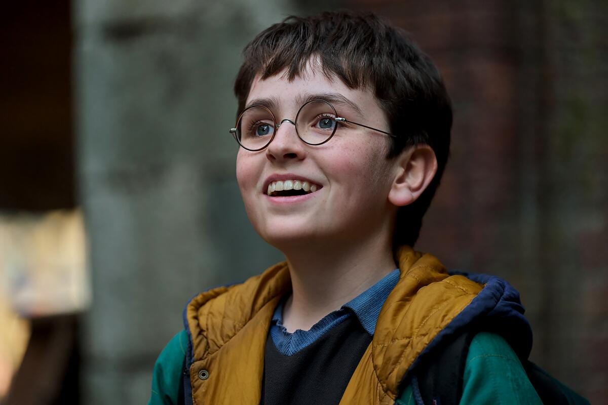 Harry Potter Spin-Offs to Replace the New TV Series