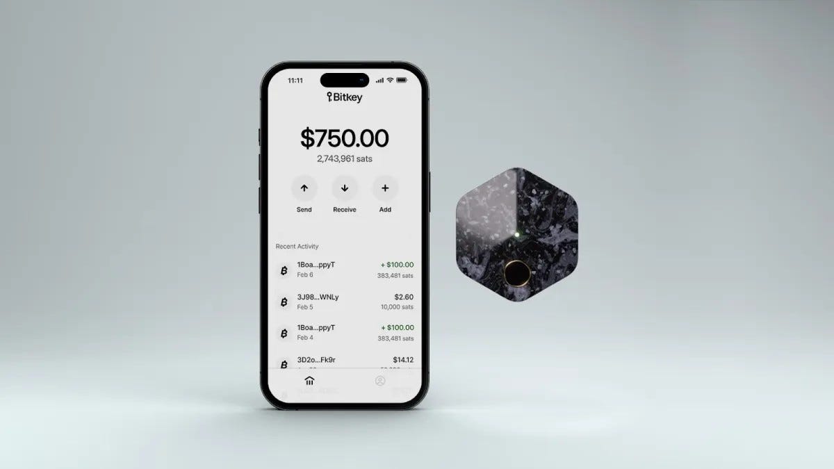 Bitkey: The Vanguard of Bitcoin Self-Custody | by Michael P. Di Fulvio | The Darkish Facet | Feb, 2024