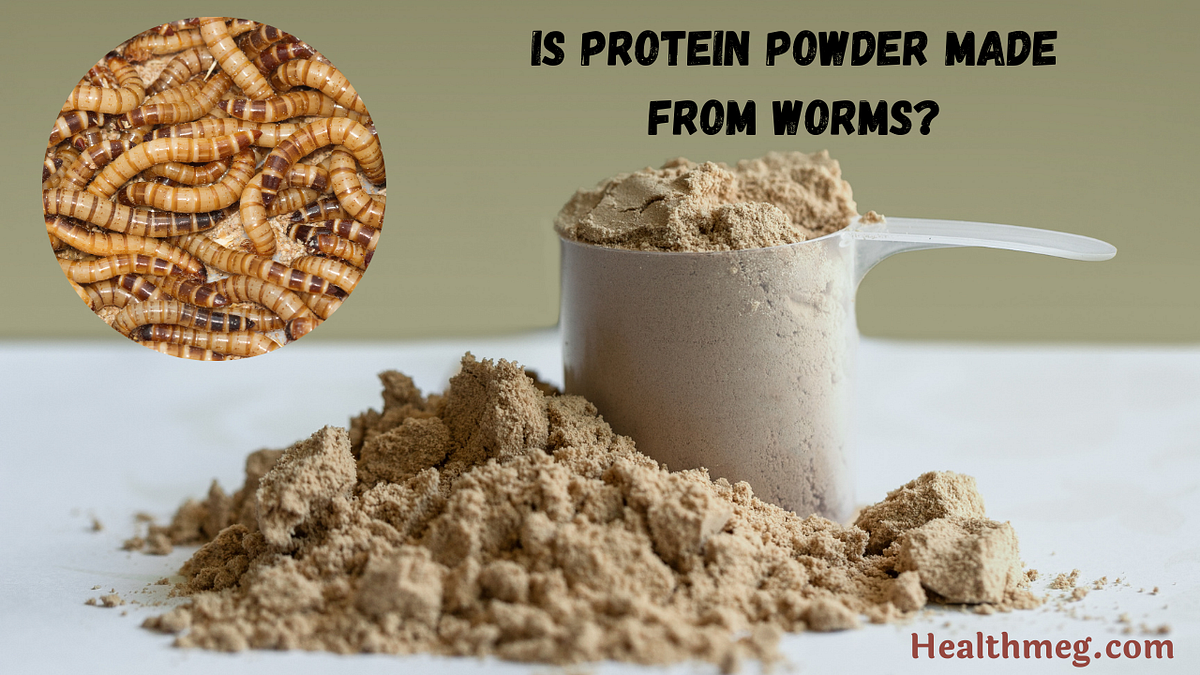 From Whey to Worms Is Protein Powder Made From Worms? by Healthmeg Medium