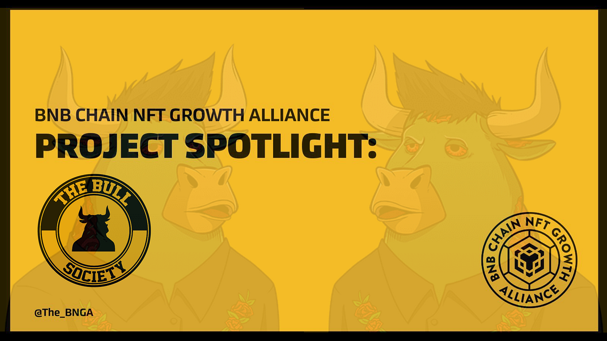Project Spotlight: The Bull Society | by The BNGA | Medium