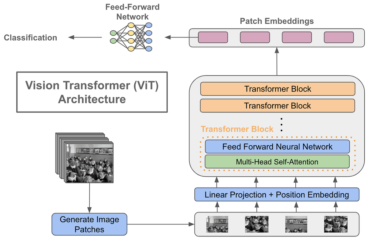 Using Transformers for Computer Vision | by Cameron R. Wolfe, Ph.D. |  Towards Data Science