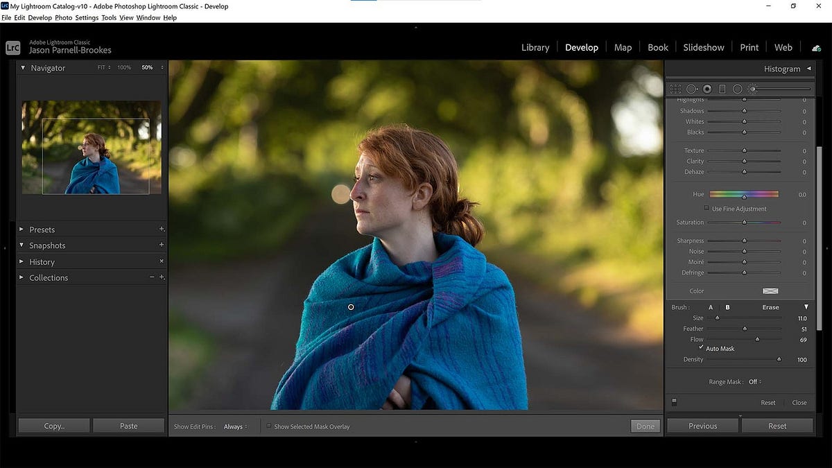 Why is the Adjustment Brush Mask Color in My Image? by Demoss