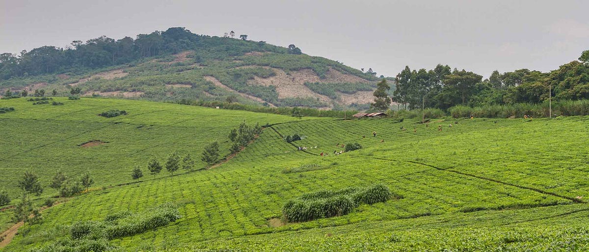 agro tourism in uganda