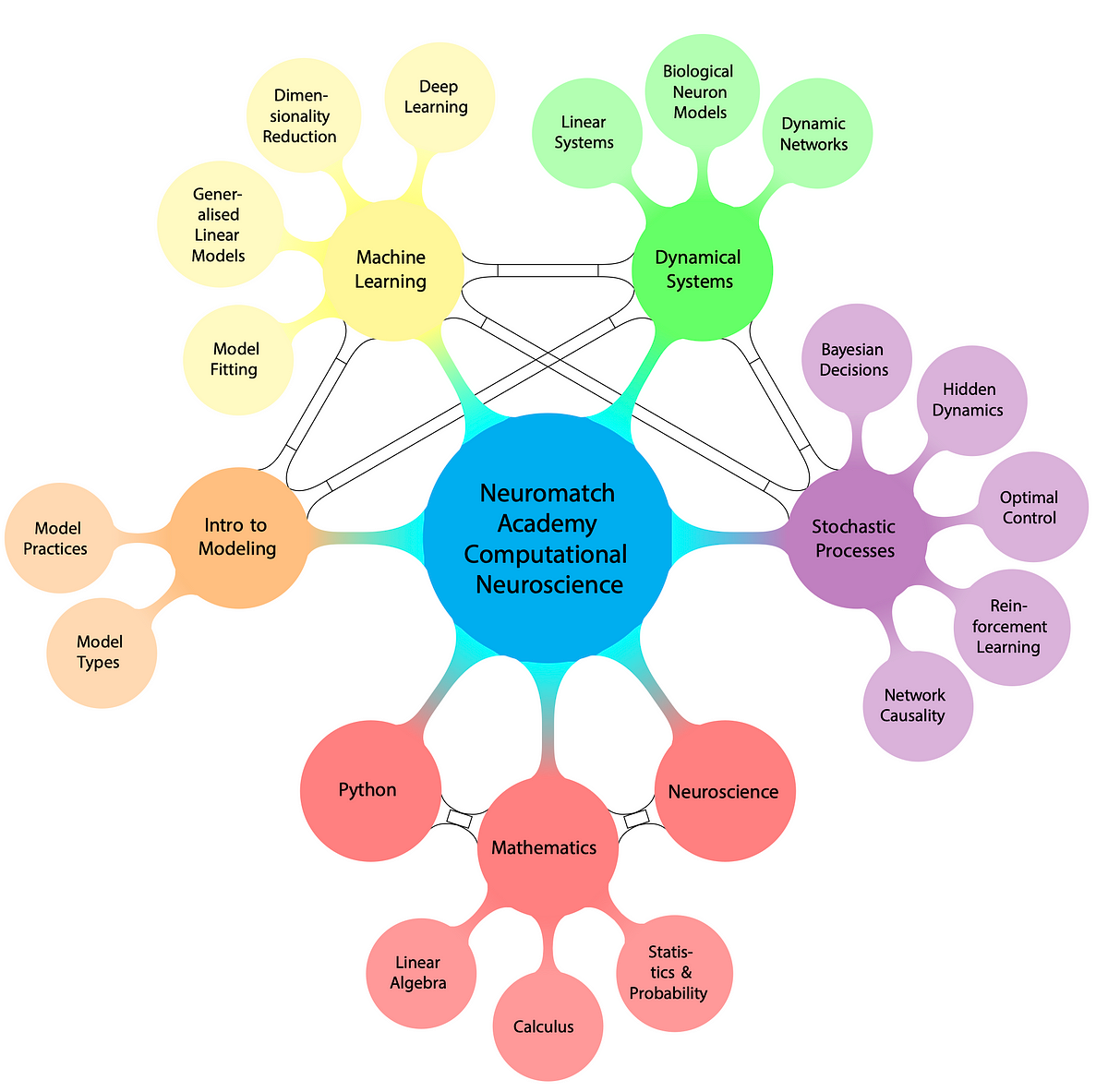 Everything to Know About Neuromatch Academy’s Computational ...