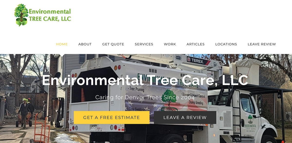 The Surprising Reasons Behind Your Drooping Tree Leaves! | by ...