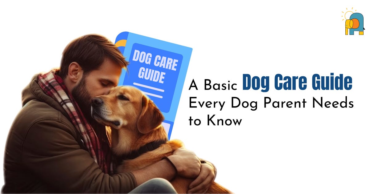 Basic Dog Care Guide Basic Dog Care Guide