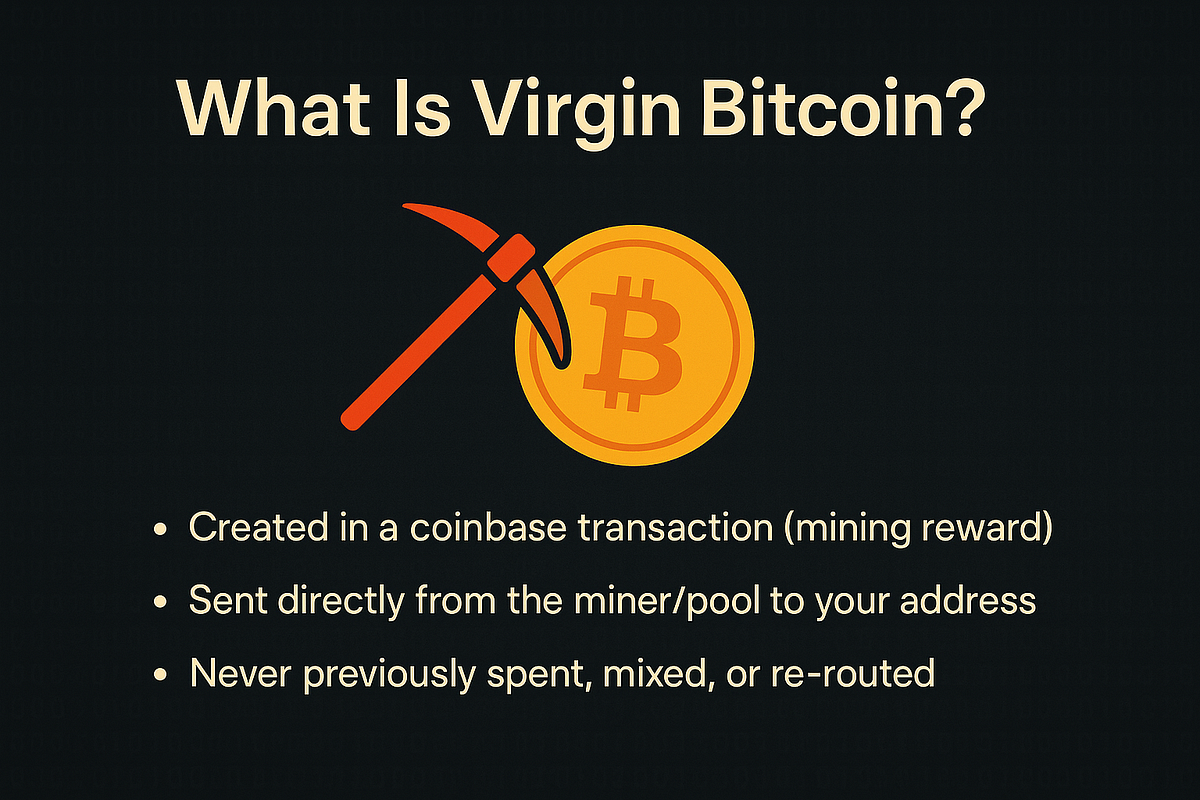 🧬 Virgin Bitcoin: Provenance, Premiums, and Protocol-Level Identification  | by Michael P. Di Fulvio | Coinmonks | Medium