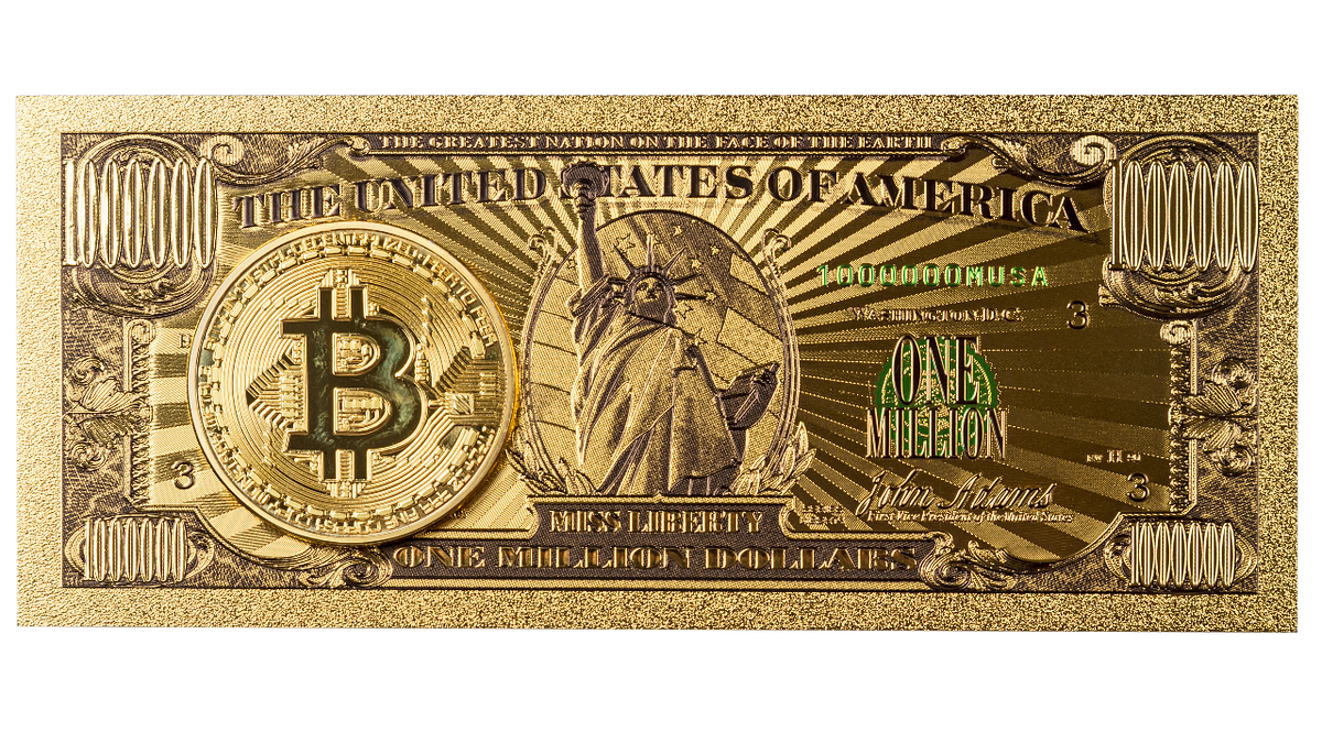 Why and When Bitcoin Price Can Surpass $1 Million | by WEHODL | WEHODL Blog