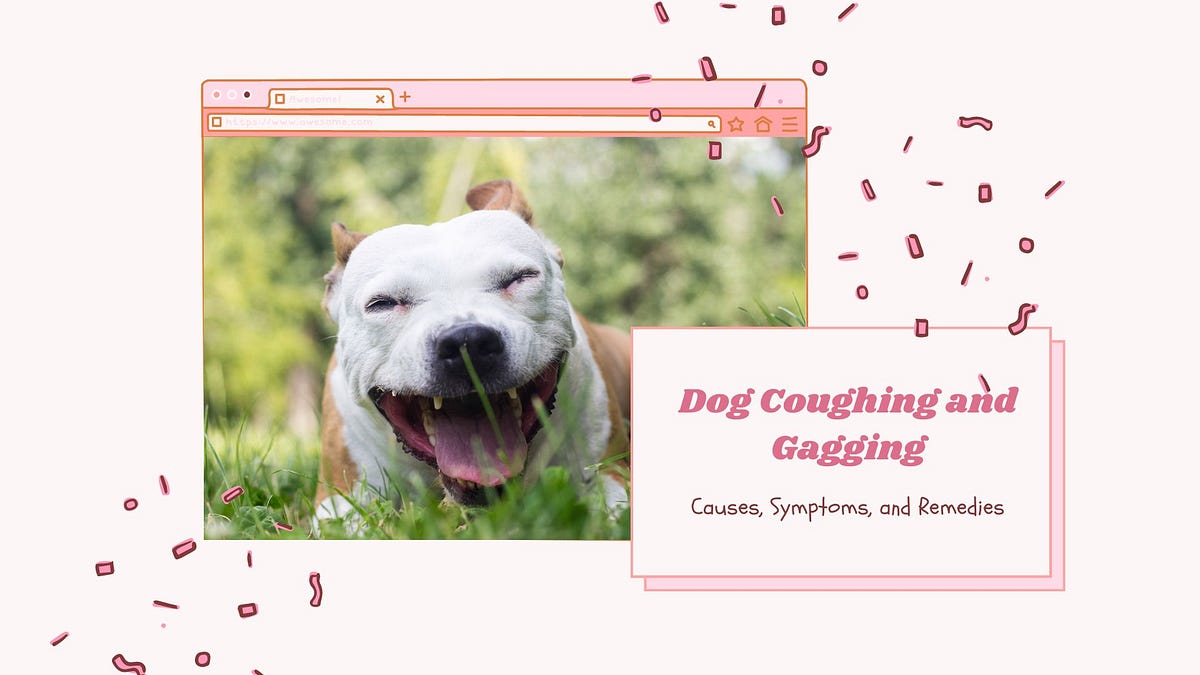 Dog Coughing and Gagging Causes, Symptoms, and Remedies by Dogzxvibe